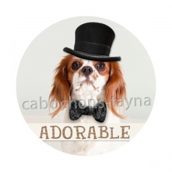 chien