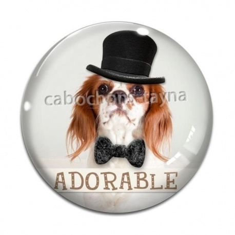 Cabochon Verre - chien