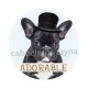 chien