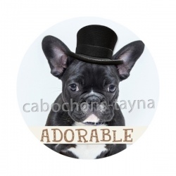 chien