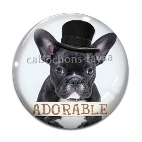 Cabochon Verre - chien