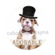 chien