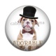 Cabochon Résine - chien