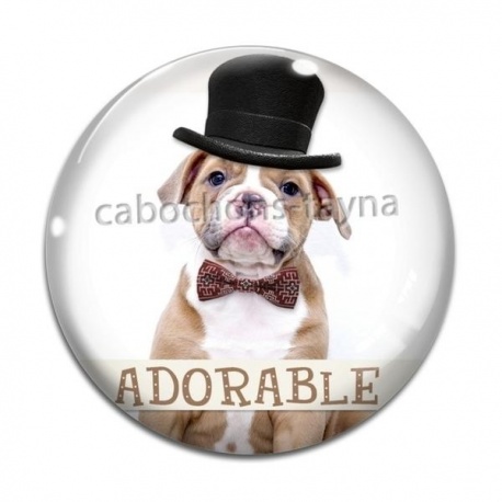 Cabochon Verre - chien