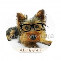 chien