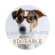 chien