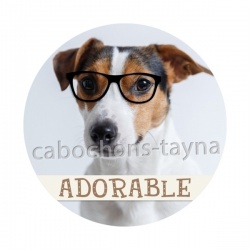 chien