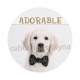 chien