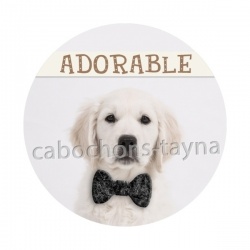 chien