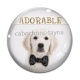 Cabochon Verre - chien