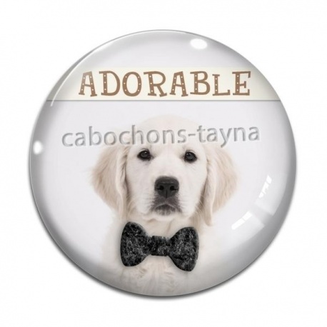 Cabochon Verre - chien