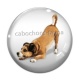 Cabochon Verre - chien