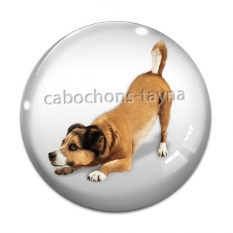 Cabochon Verre - chien