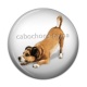 Cabochon Résine - chien