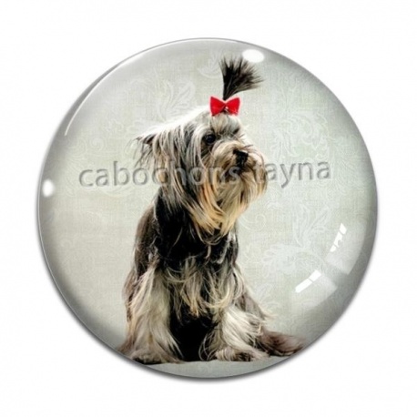 Cabochon Verre - chien