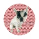 chien