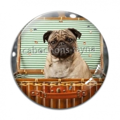 Cabochon Verre - chien