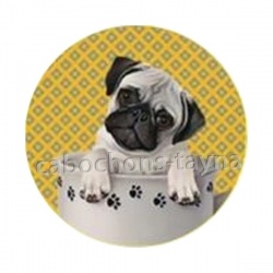 chien