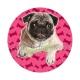 chien