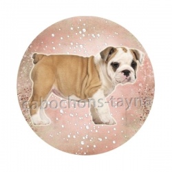 chien