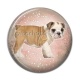Cabochon Résine - chien