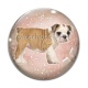 Cabochon Verre - chien