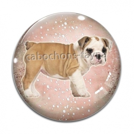 Cabochon Verre - chien