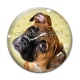 Cabochon Verre - chien