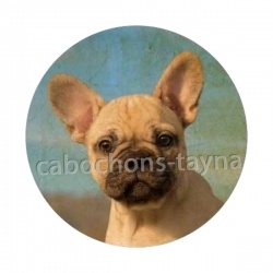 chien