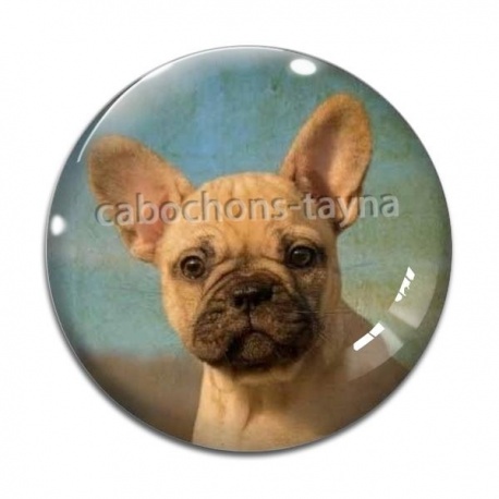 Cabochon Verre - chien