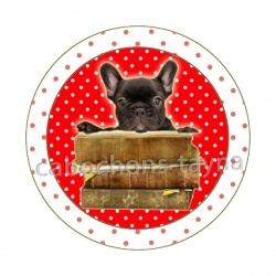 chien