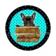 chien