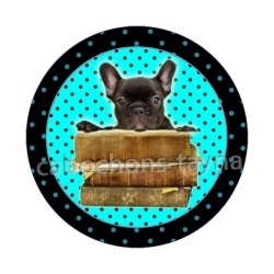 chien