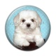 Cabochon Résine - chien