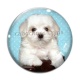 Cabochon Verre - chien