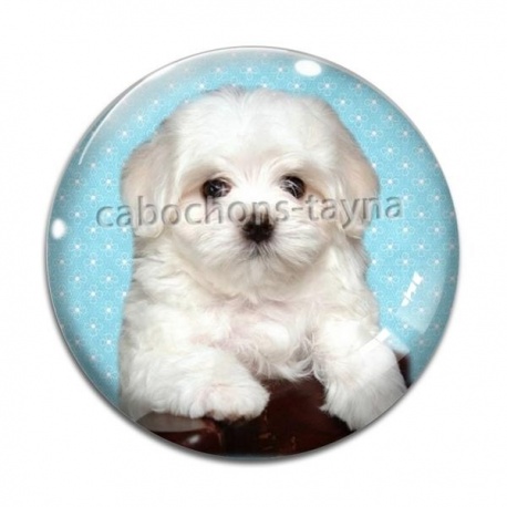 Cabochon Verre - chien