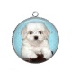 Pendentif Cabochon Argent - chien
