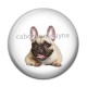 Cabochon Résine - chien