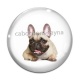 Cabochon Verre - chien