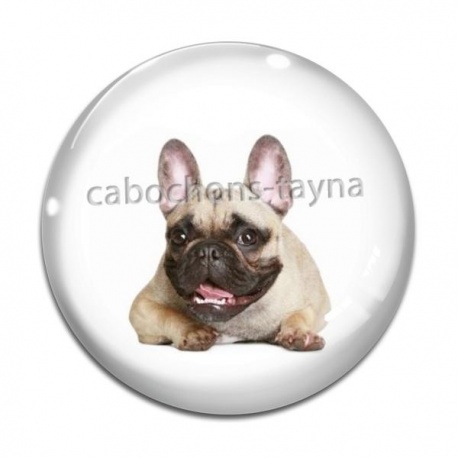 Cabochon Verre - chien