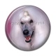 Cabochon Résine - chien