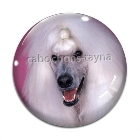 Cabochon Verre - chien