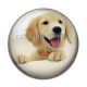 Cabochon Résine - chien