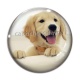Cabochon Verre - chien