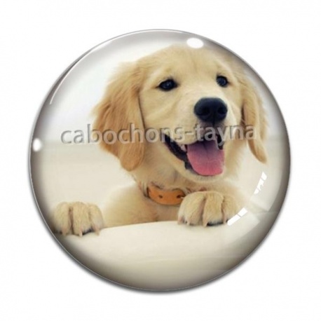 Cabochon Verre - chien