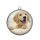 Pendentif Cabochon Argent - chien