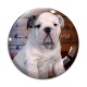 Cabochon Verre - chien