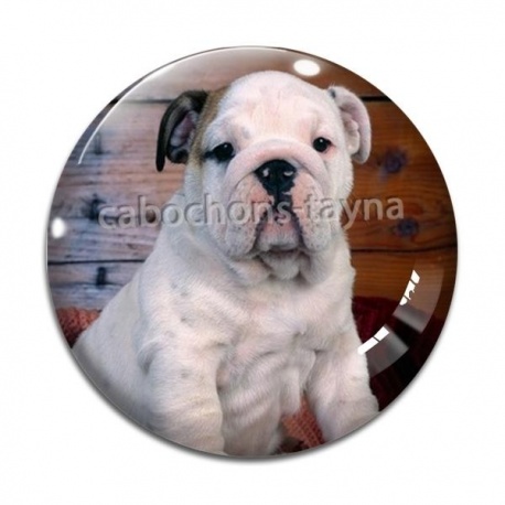 Cabochon Verre - chien
