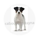 chien