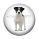Cabochon Résine - chien